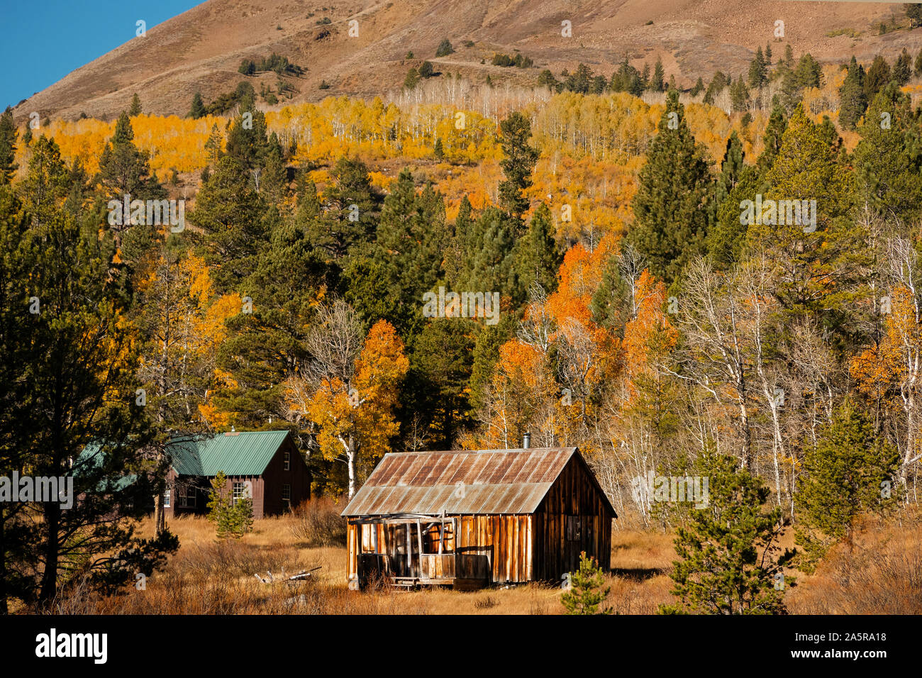 Pionier Cabin in der Sierra Nevada im Herbst. Kalifornien, USA Stockfoto