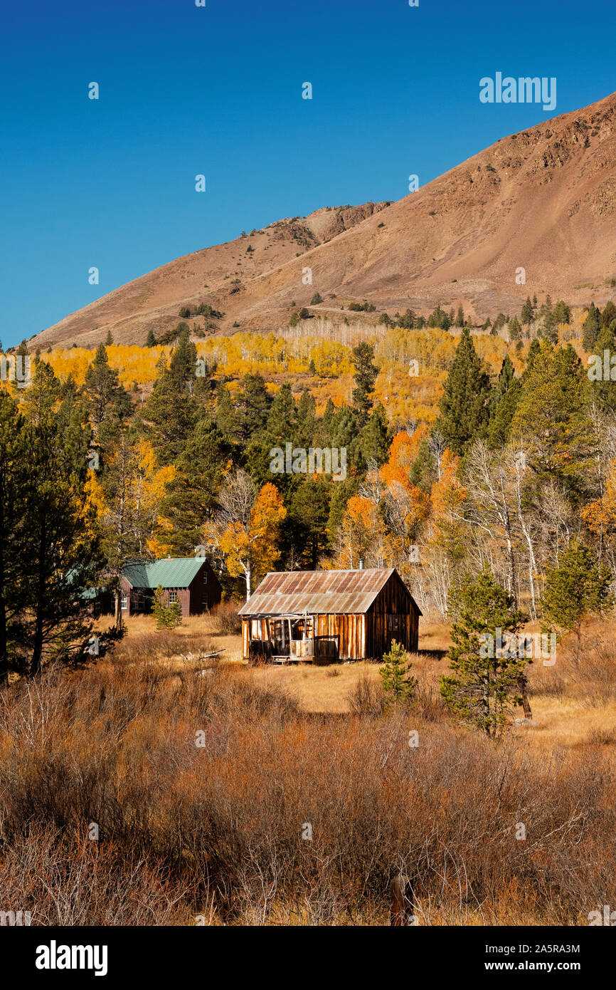 Pionier Cabin in der Sierra Nevada im Herbst. Kalifornien, USA Stockfoto