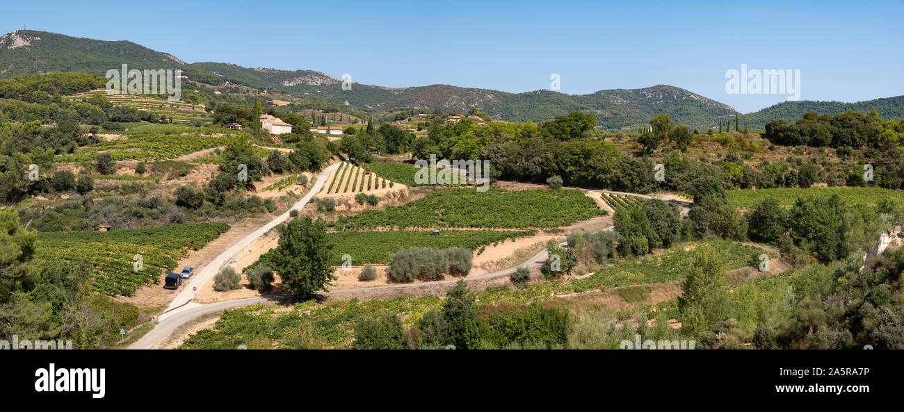 Die Reben und Weinbergen in Beaumes-de-Venise, Provence in Frankreich. Stockfoto