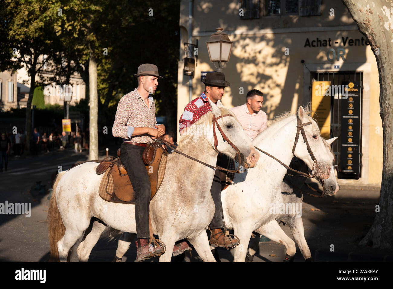 Die Bull Run in San Remy, organisiert von der Hüter der Camargue, Provence, Frankreich Stockfoto