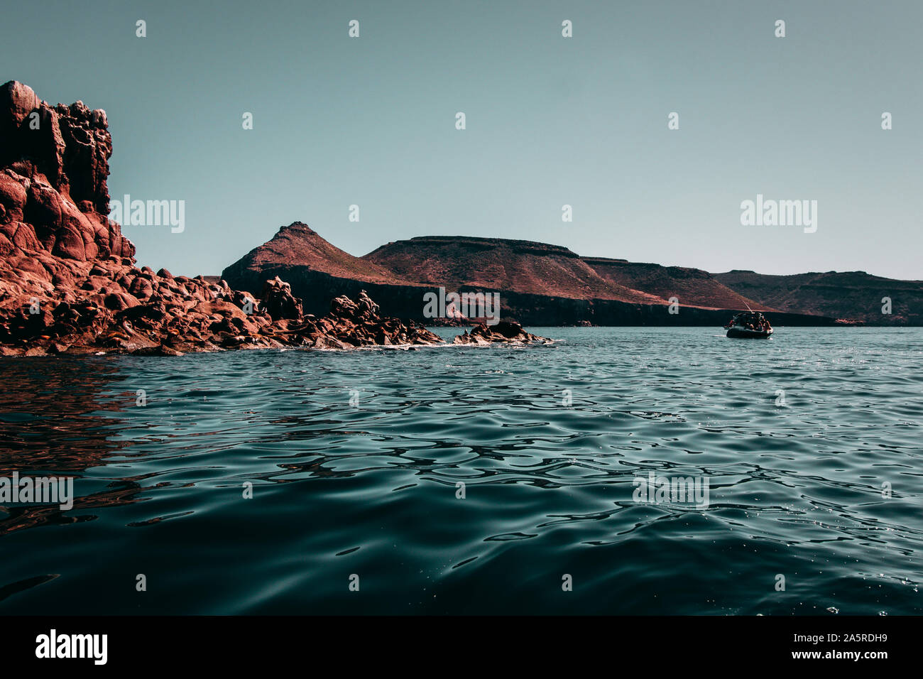 Tour Boot approches Seelöwen in Isla Espiritu Santo, BCS Stockfoto