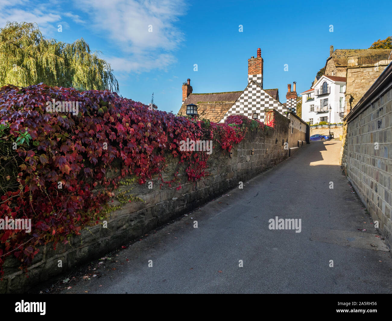 Kriechgang rot im Herbst auf eine Wand an das alte Herrenhaus auf der Wasserseite Knaresborough North Yorkshire England Stockfoto