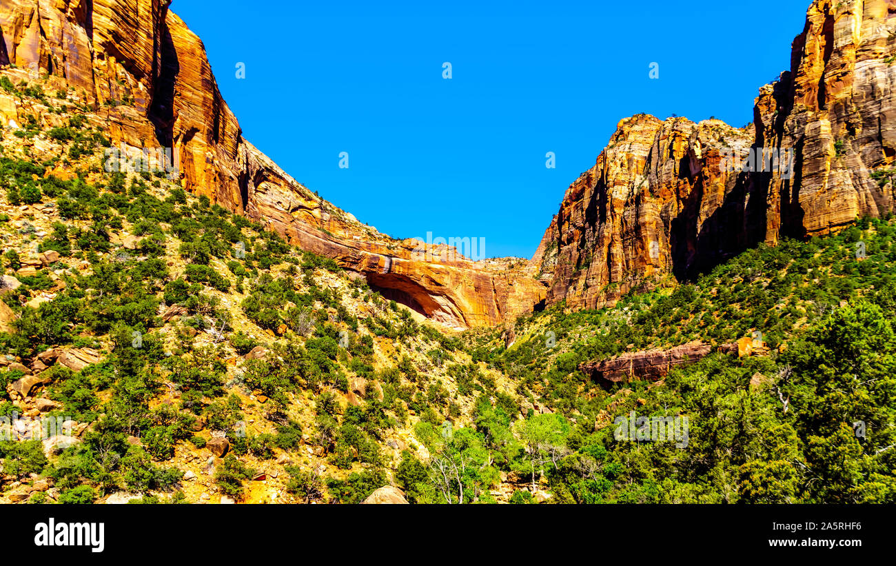 Der große Bogen mit East Temple Mountain, Canyon Overlook und Brücke Berg gesehen vom Zion-Mount Carmel Highway im Zion National Park, Utah, U Stockfoto