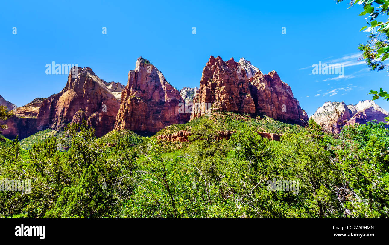 Der Hof der Patriarchen, Abraham, Isaak und Jakob Peak Peak, im Zion National Park in Utah, USA Stockfoto