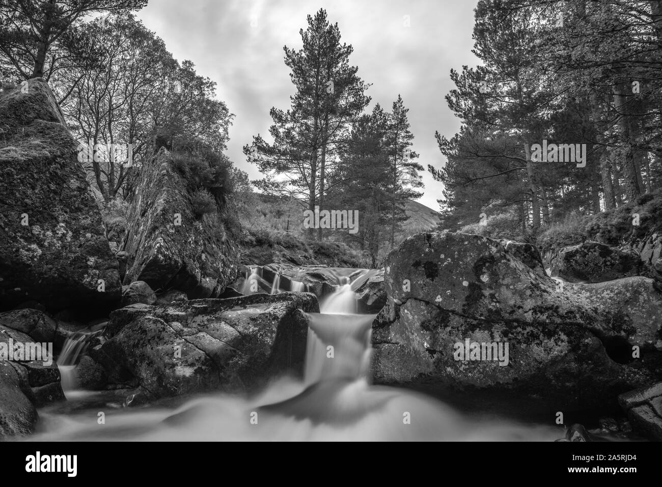 Schwarze und weiße lange Belichtung von Flüssen und Wasserfällen im Glen Clova in Angus Glens, Scottish Highlands Stockfoto