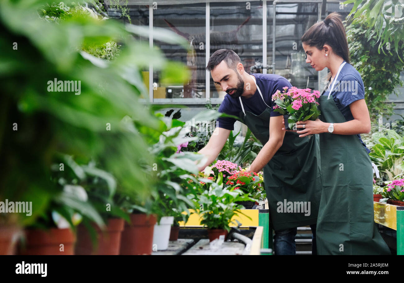 Teamwork mit glücklichen Mitarbeitern bei der Arbeit im Blumengeschäft Stockfoto