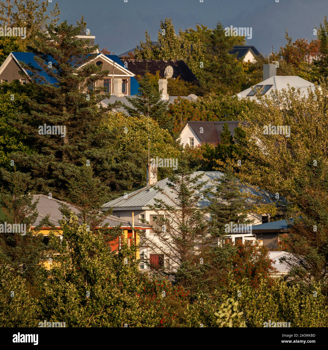 Wohnungen, Herbst, Reykjavik, Island Stockfoto
