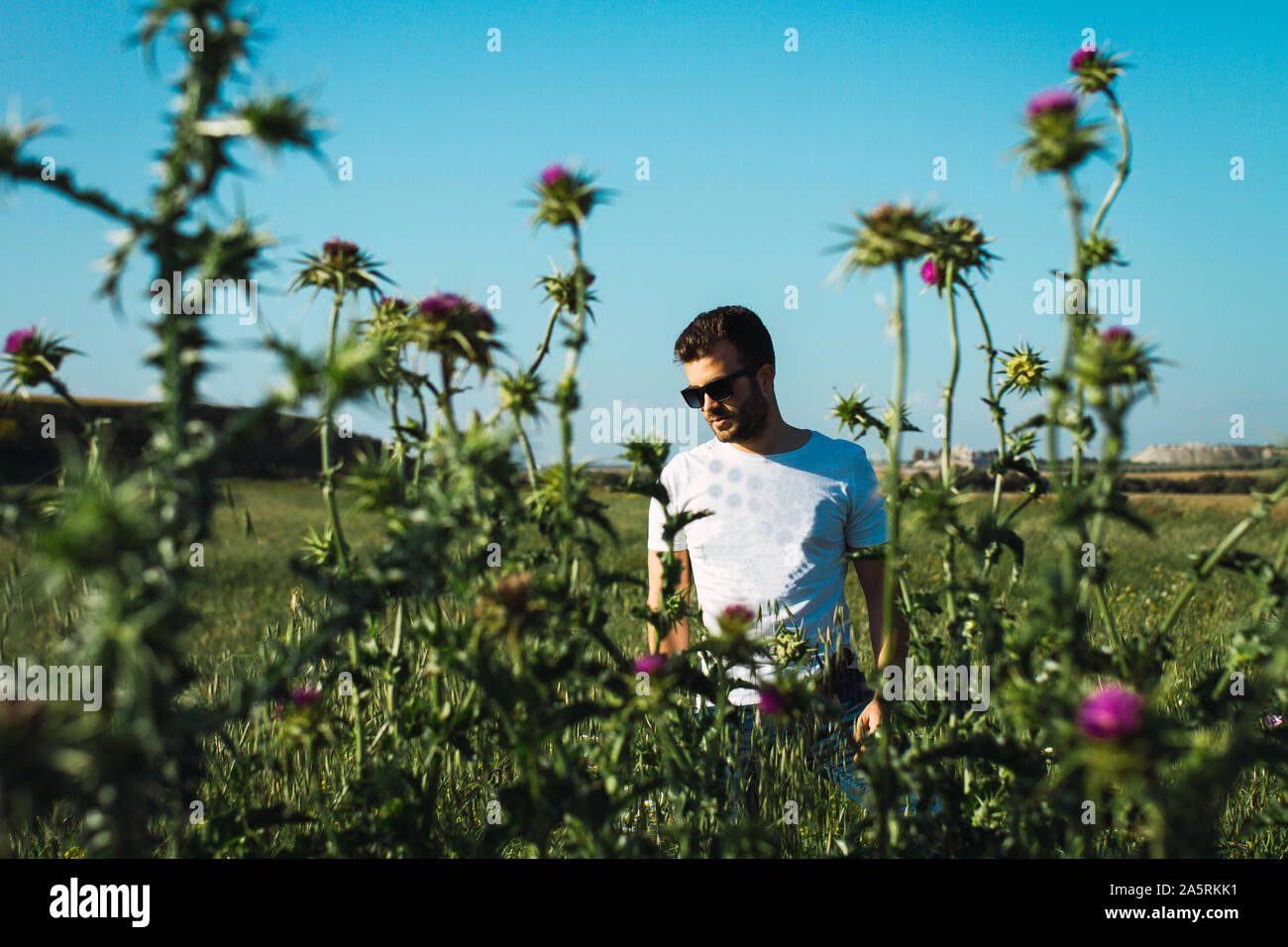 Junger Mann betrachtet das Feld nach Grün und Violett Pflanzen, an gesetzt Stockfoto