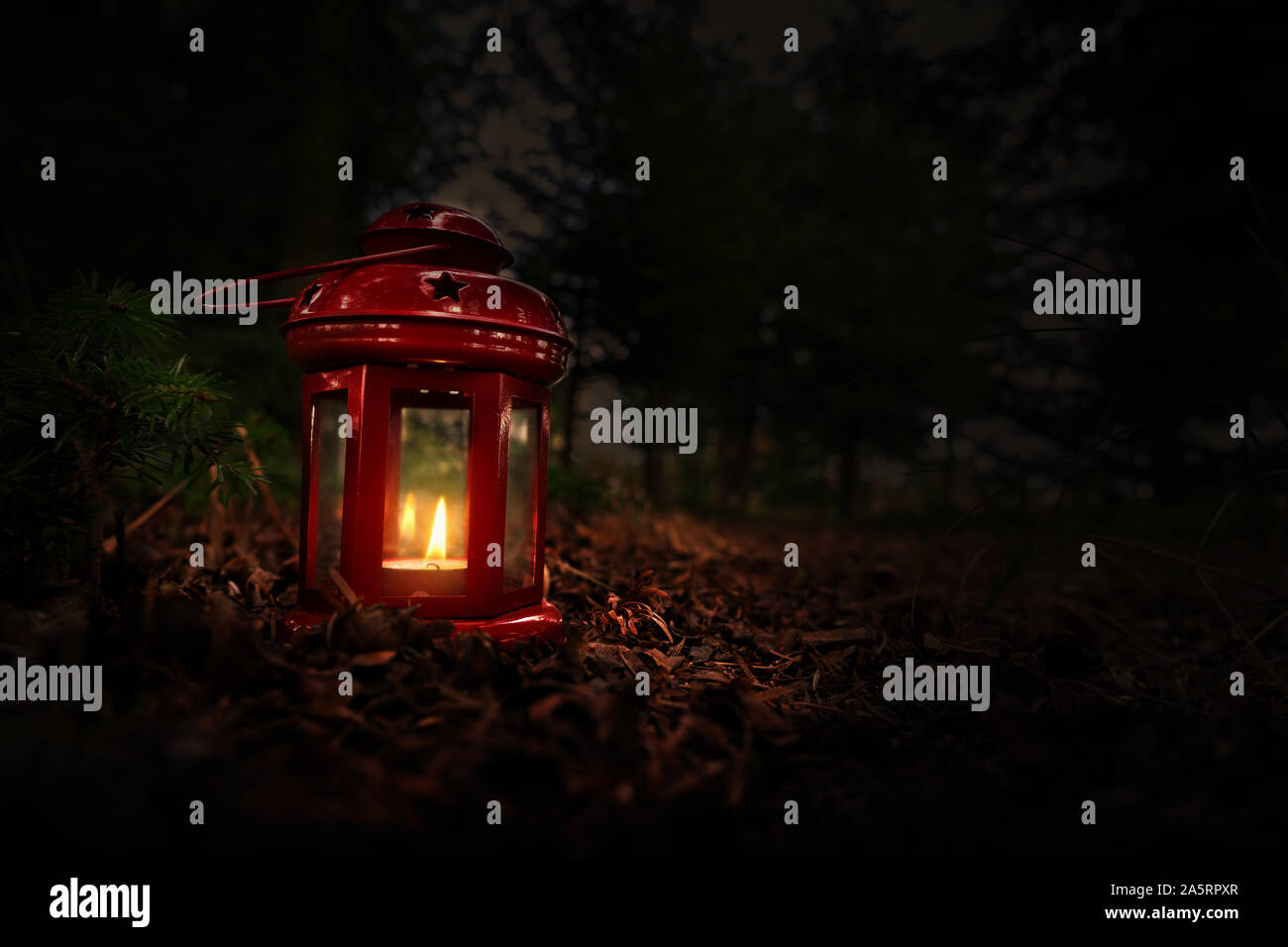 Red christmas Laterne in der Abenddämmerung in einem Pinienwald weihnachtliche Stimmung Stockfoto