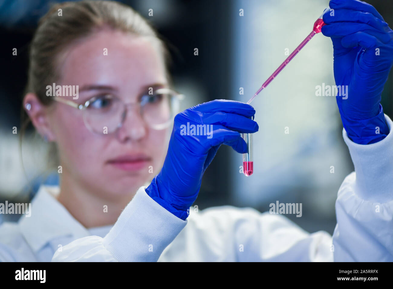 Junge Studentin der Wissenschaft, die biotechnologische Experimente im Labor Stockfoto