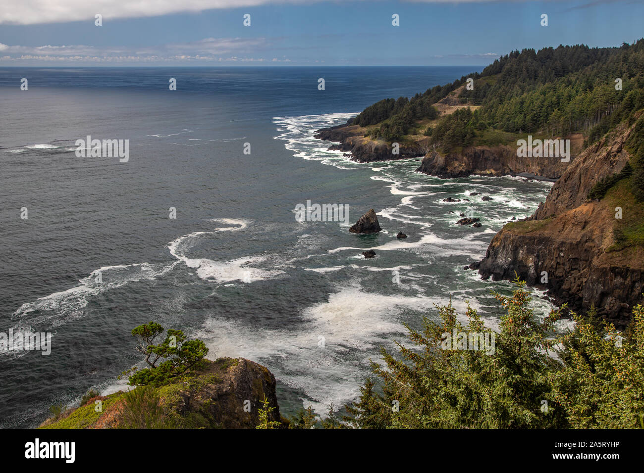 Cape Foulweather Stockfoto