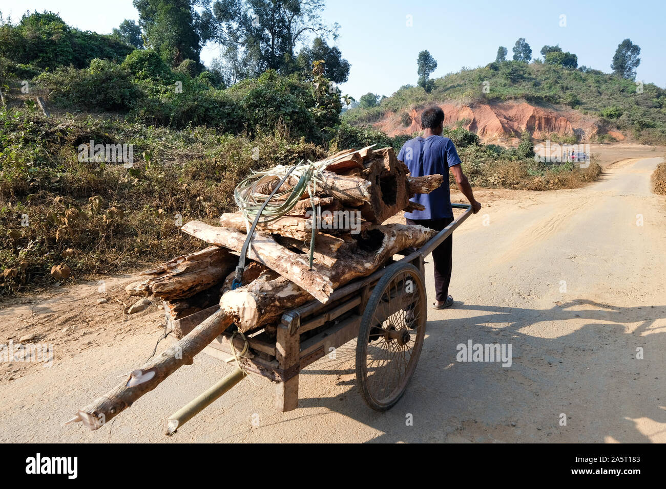 Illegaler Holzeinschlag: Holzsammler schneiden und transportieren Holz im Khasi Hills Naturreservat.Meghalaya Staat nordostindien Stockfoto