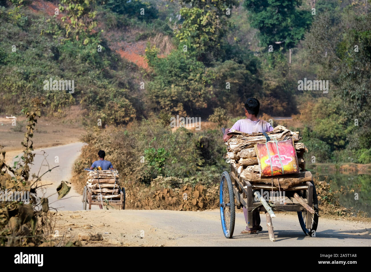 Illegaler Holzeinschlag: Holzsammler schneiden und transportieren Holz im Khasi Hills Naturreservat.Meghalaya Staat nordostindien Stockfoto