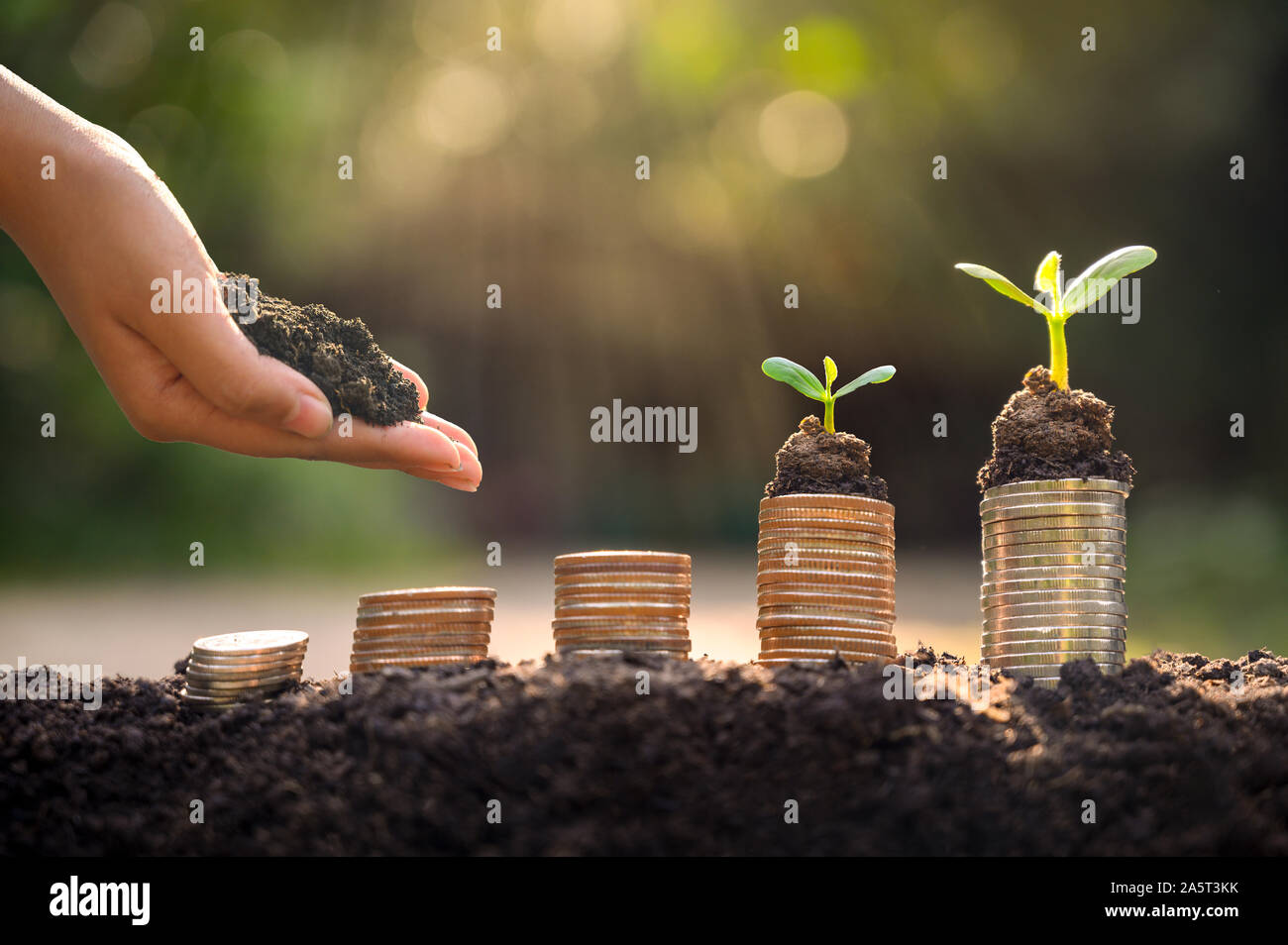 Geld Wachstum spart Geld. Oberen baum Münzen gezeigt Konzept für wachsende Unternehmen Stockfoto