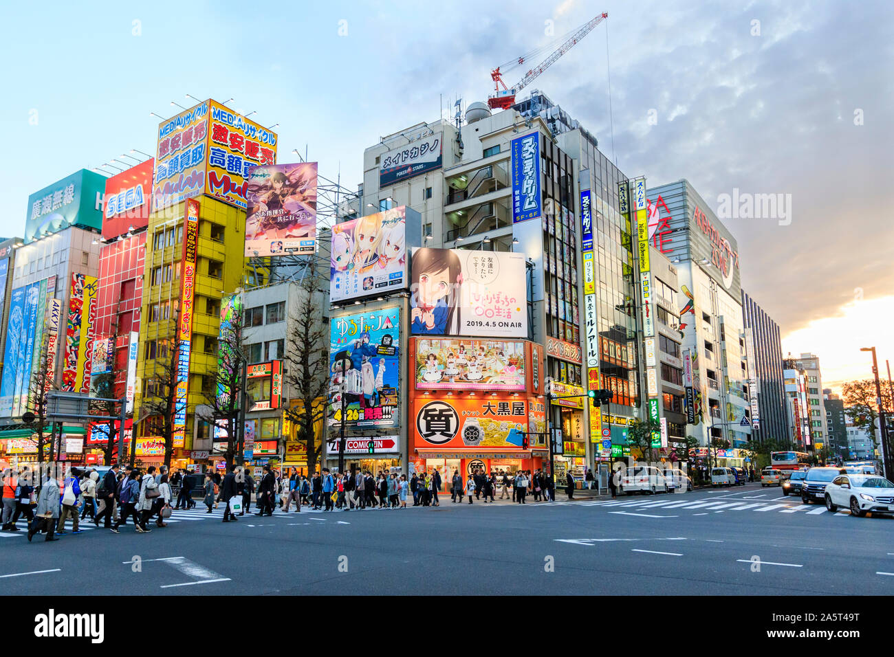Tokio, Akihabara, der Haupteinkaufsstraße, Chuo-dori. Überqueren Sie die Straße an Zebrastreifen. Geschäfte und Cafés Hintergrund. Goldene Stunde, abends Stockfoto