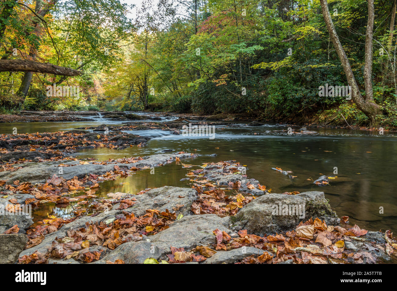 Bunte Laub nass auf den Felsen und Geröll in den fliessenden Bach mit Farbwechsel Bäume im Hintergrund an einem sonnigen Nachmittag im Herbst Stockfoto