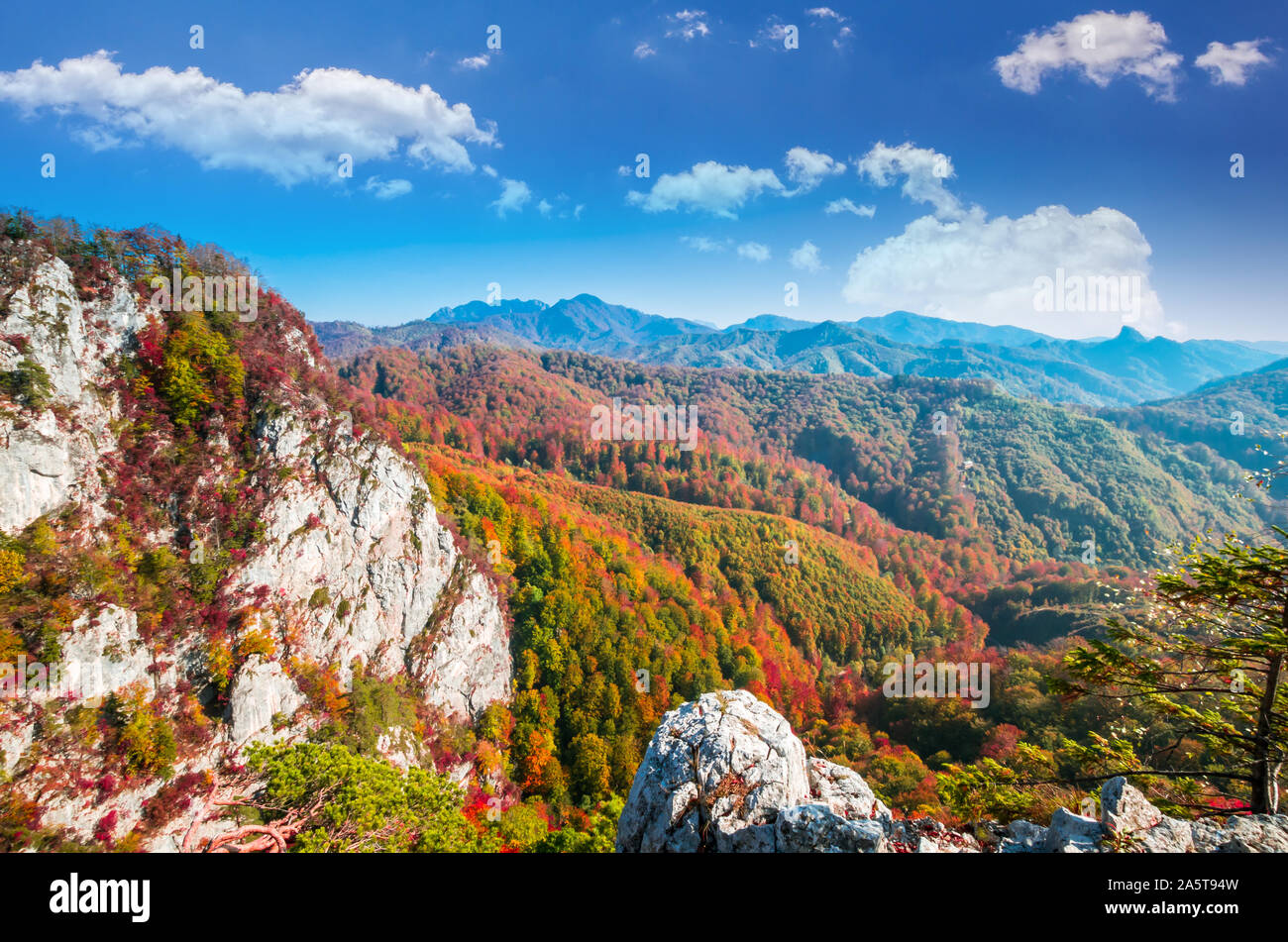 Herbst in Buila Vanturarita, Karpaten, Rumänien. Lebendige Herbstfarben im Wald. Landschaft der Natur mit Sonnenlicht durch Zweige von Bäumen. Co Stockfoto