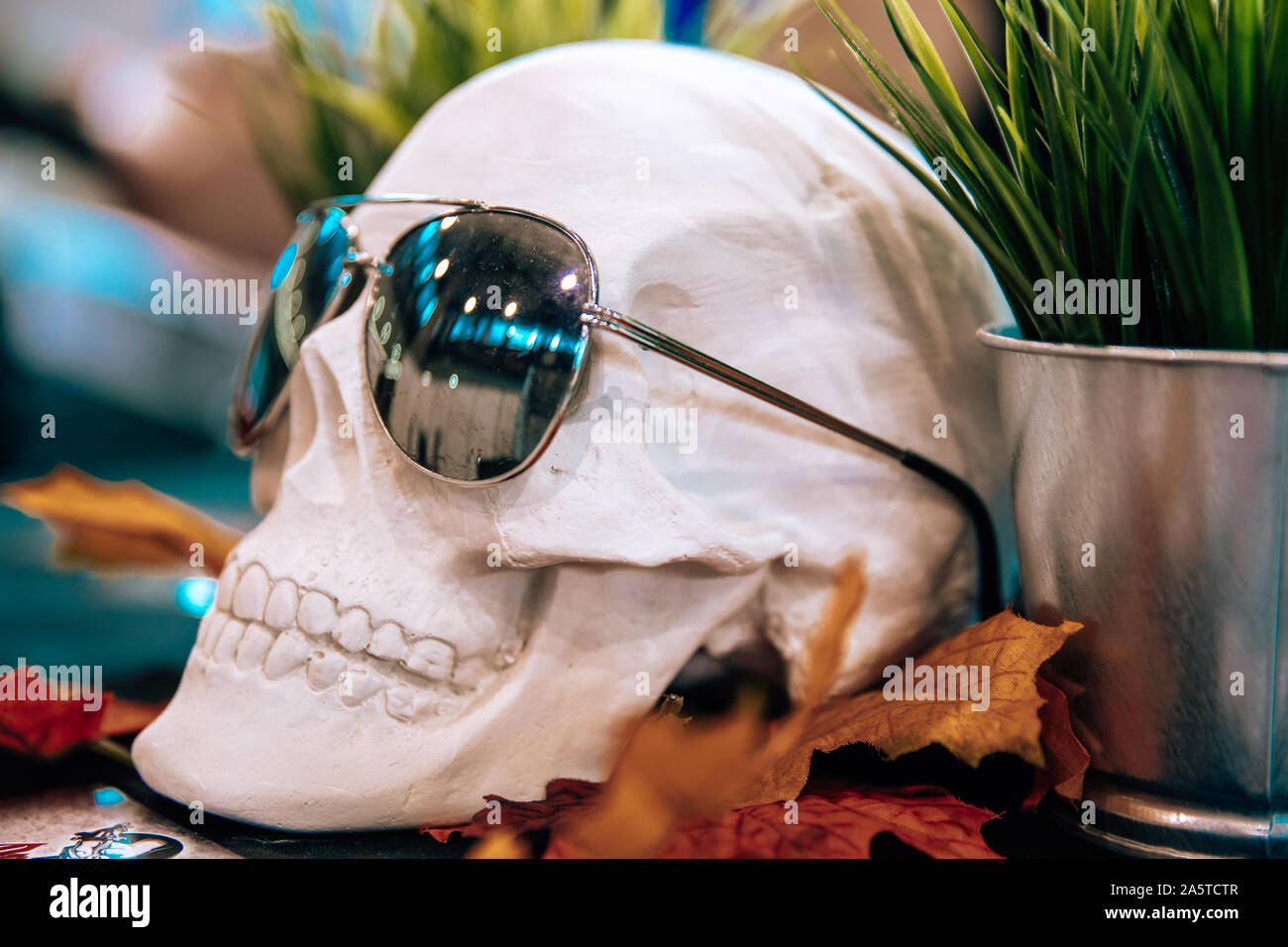 Totenkopf mit Sonnenbrille in einem tattoo studio Stockfoto
