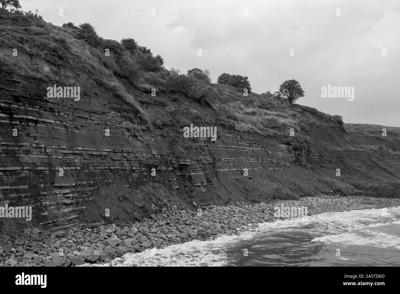 Blick auf den blauen lias Klippe in Lyme Regis in Dorset, die berühmt für fossile Jagd ist Stockfoto