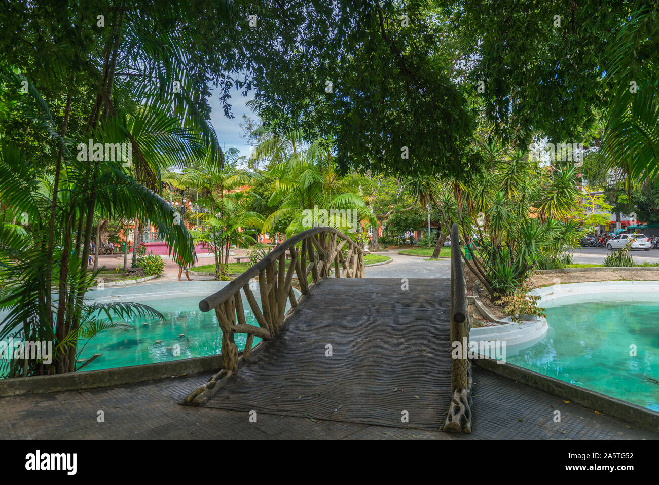 Zentrum von Manaus, der Hauptstadt des größten brasilianischen Bundesstaat Amazonas, Brasilien, Lateinamerika Stockfoto