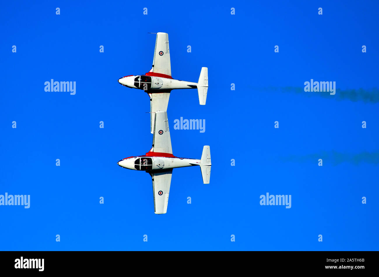 Zwei Mitglieder der Kanadischen Streitkräfte 431 Luft Demonstration squadron im formationsflug an einem Air Show im Jahr 2019 in den Hafen von Nanaimo auf Vancouver Isl Stockfoto