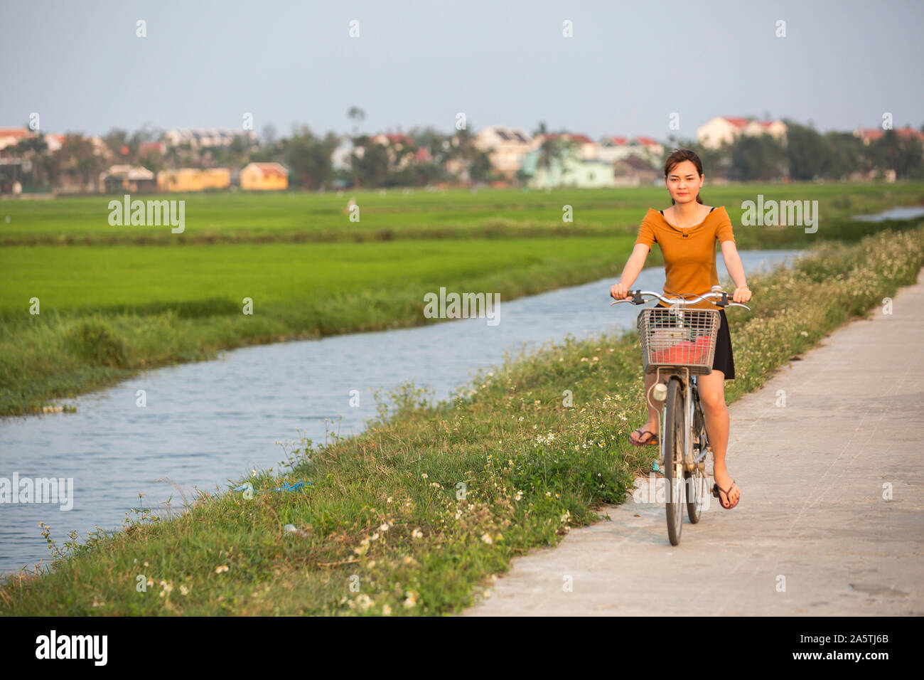 Eine junge Frau fährt mit dem Fahrrad hinter einem Reisfeld in Hoi An, Vietnam. Stockfoto