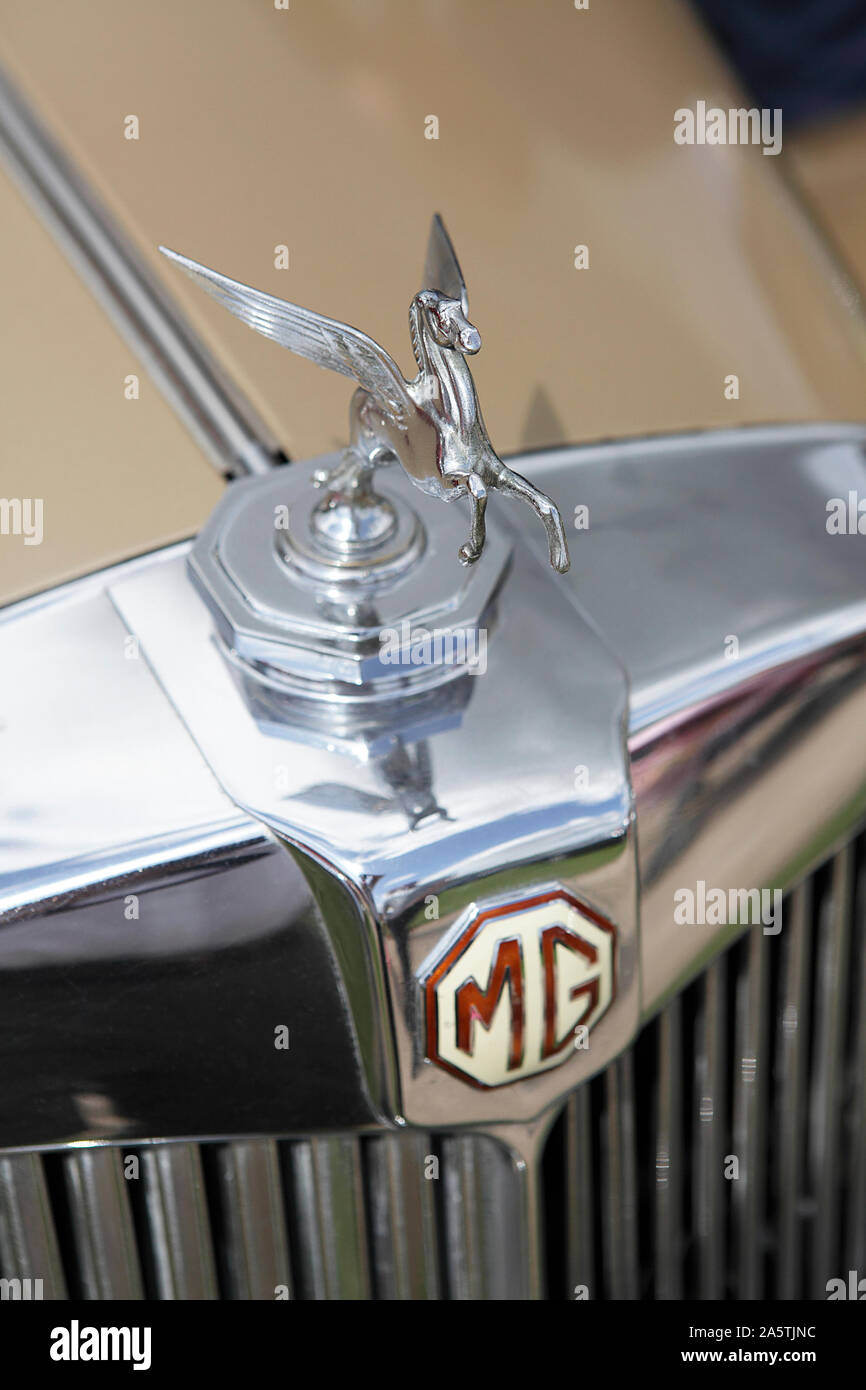 Hier angesehen verchromt sind Auto kühler Maskottchen oder Ornamente. Hier auf MG Auto kühler gesehen. Stockfoto