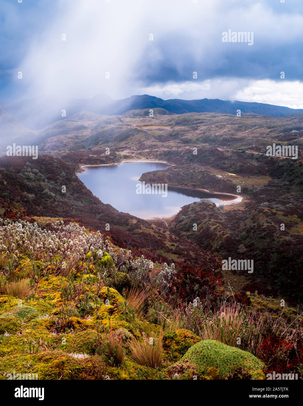 Laguna y Flores de colores Stockfoto