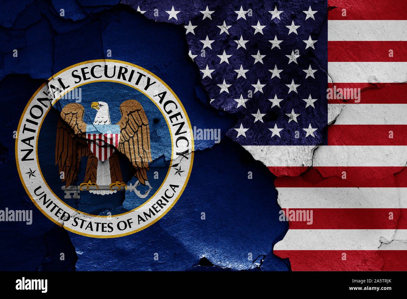 Flaggen der National Security Agency, USA malte auf Risse an der Wand Stockfoto