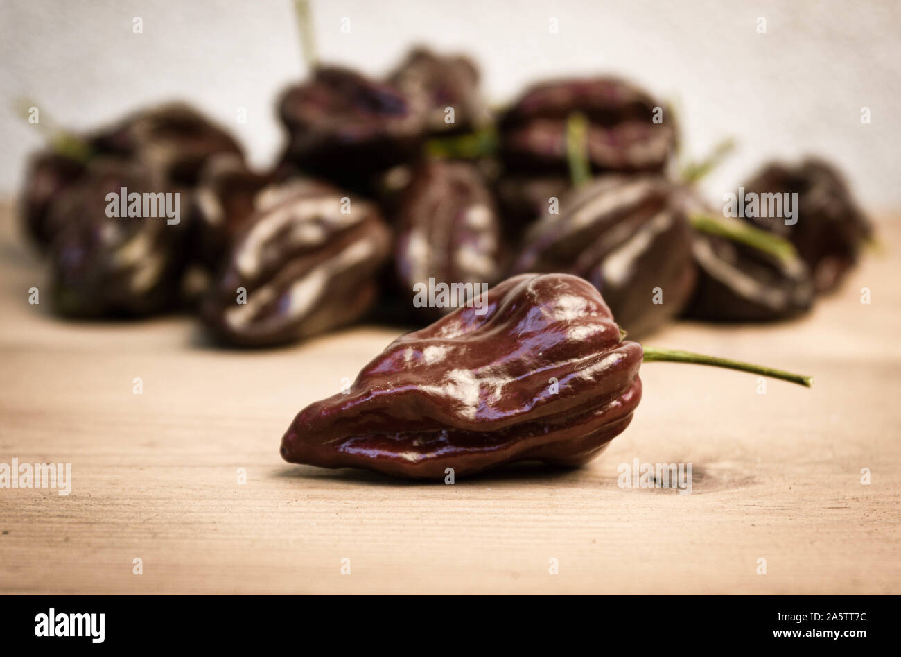 Foto von Schokolade habanero Paprika (Capsicum chinense) auf einem Holztisch. Ein einsamer in der Front. Chocolate Brown hot chili peppers. Stockfoto