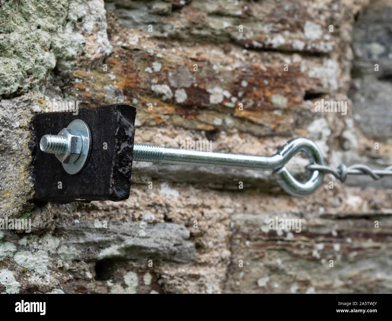 Weinstock Auge und Ankerplatte für Spannrolle Kletterpflanze Unterstützung Kabel auf einer alten Steinmauer Stockfoto