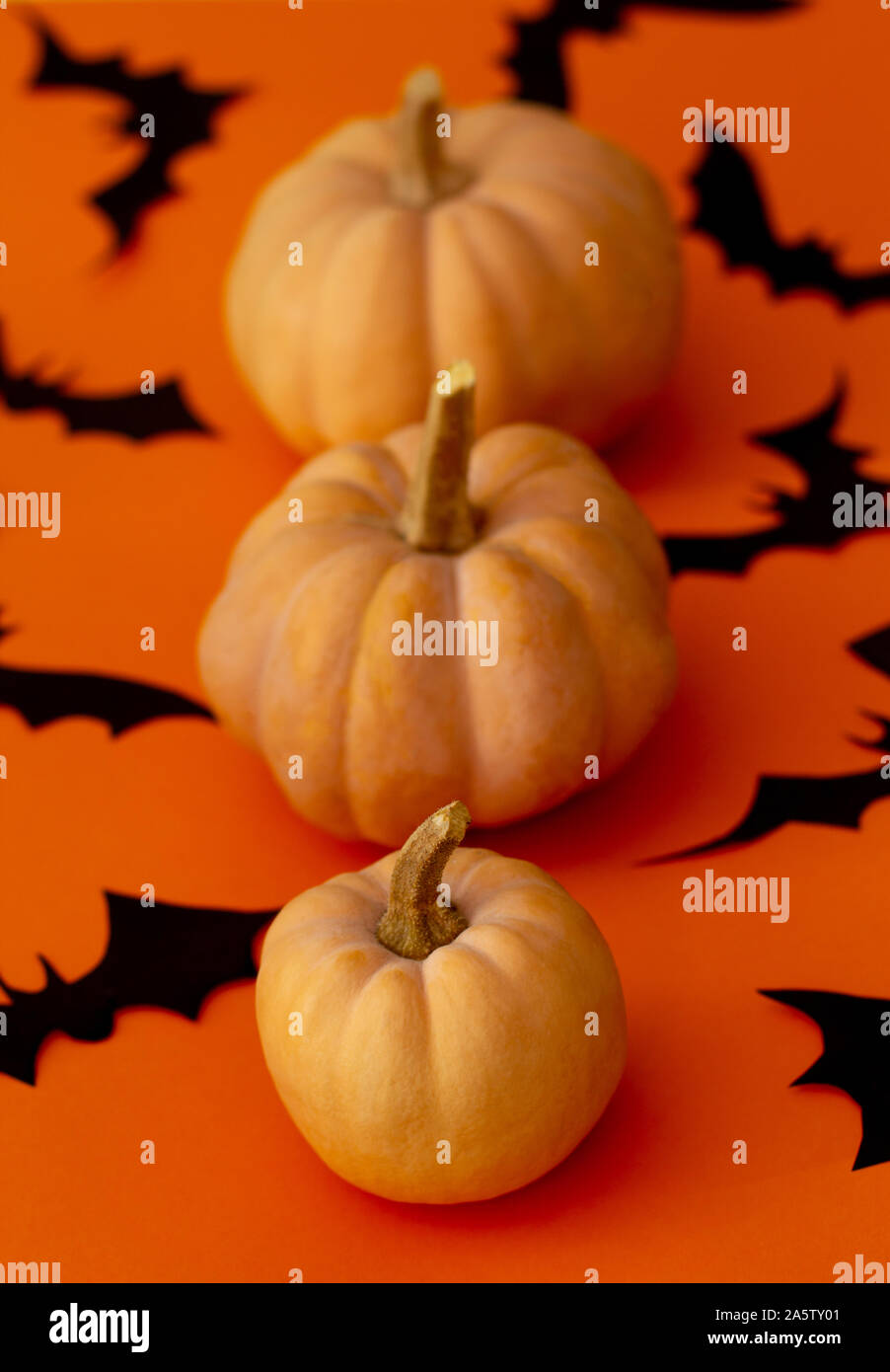 Kürbisse auf orange Tabelle. Halloween vertikale Hintergrund mit Kürbissen und schwarzen Fledermäusen. Stockfoto