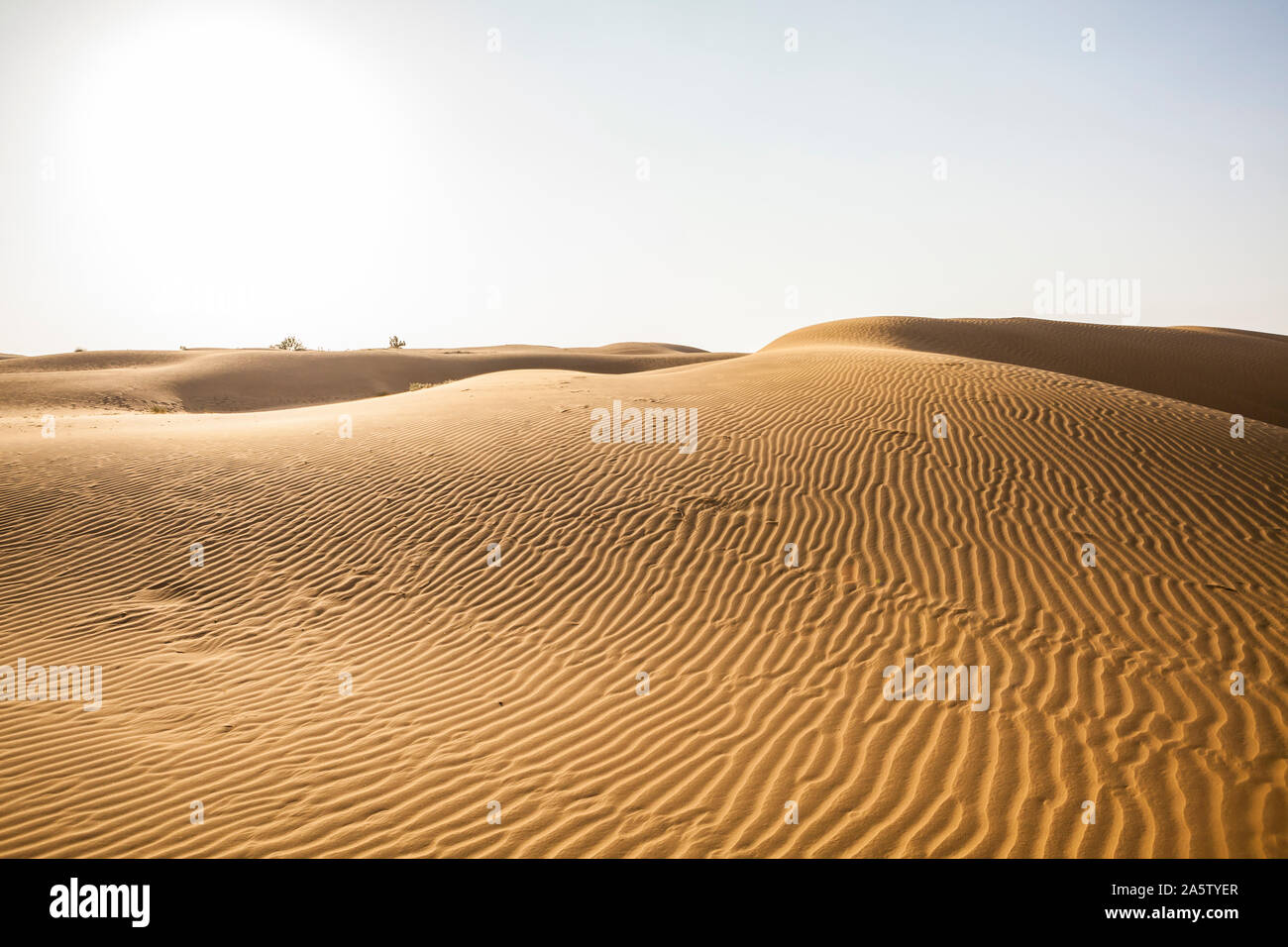 Sanddünen in der Wüste Thar, Rajasthan, Indien. Stockfoto
