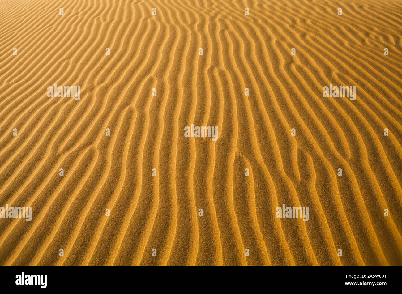 Wind sand Muster auf den Dünen der Wüste Thar, Rajasthan, Indien geblasen. Stockfoto