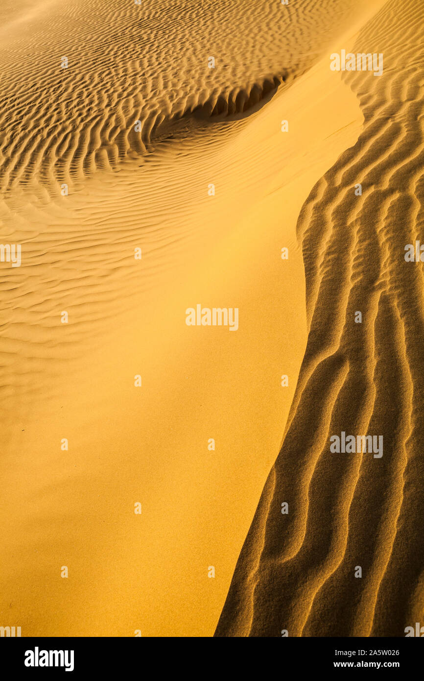 Sanddünen in der Wüste Thar in Rajasthan, Indien. Stockfoto