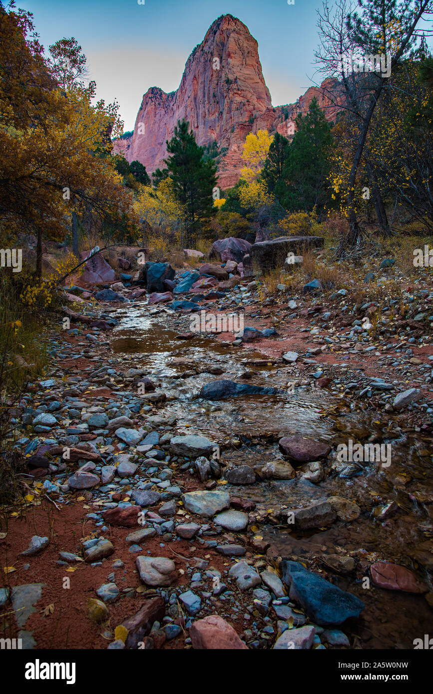 Taylor Creek Trail im Herbst. Taylor Creek ist in einem weniger bekannten Teil des Zions Nationalpark zwischen Cedar City und St. George, Utah, USA. Stockfoto