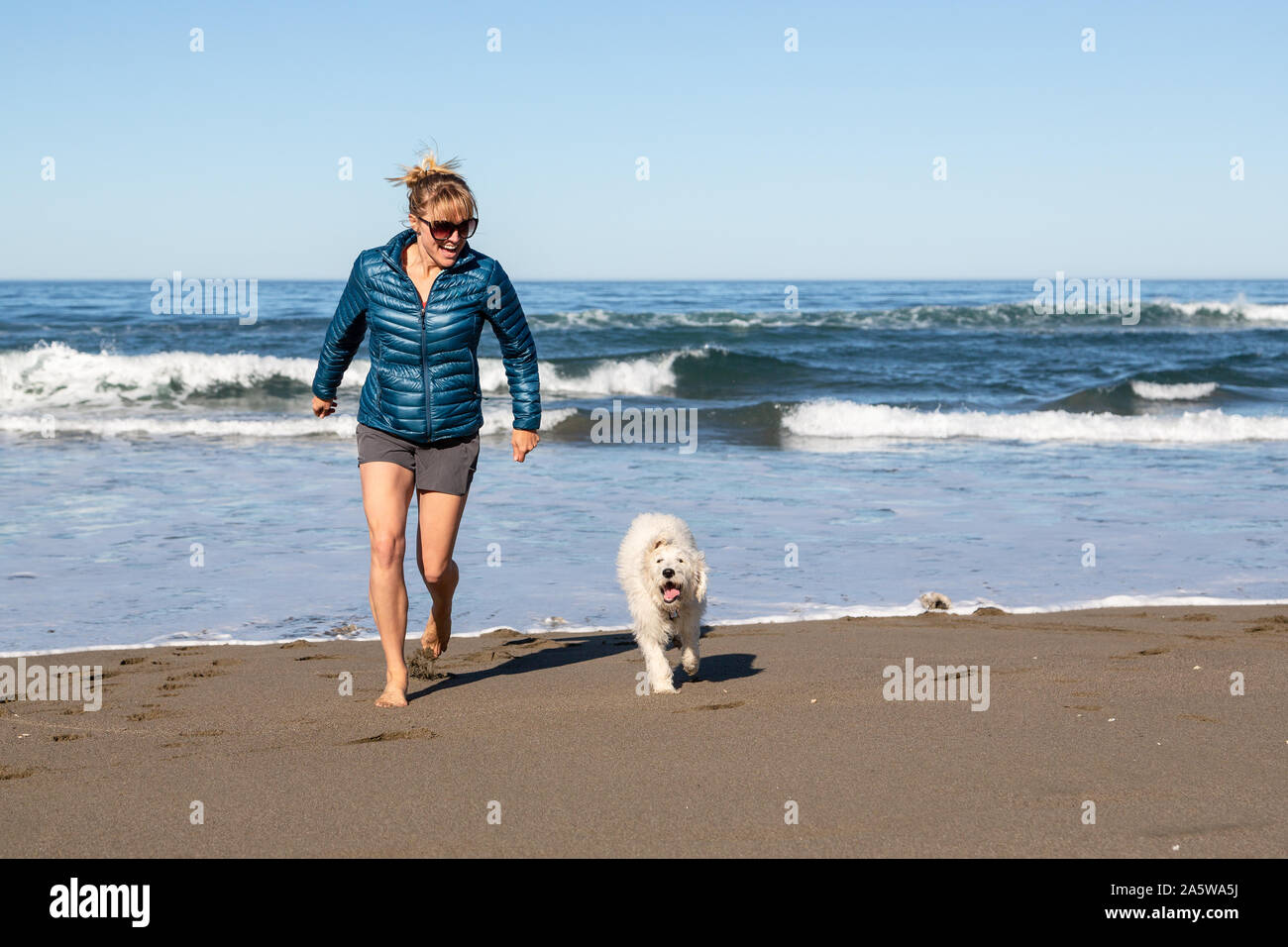Eine junge Frau läuft lachend am Strand mit ihr gerne Englisch Creme Goldendoodle Welpen. Stockfoto