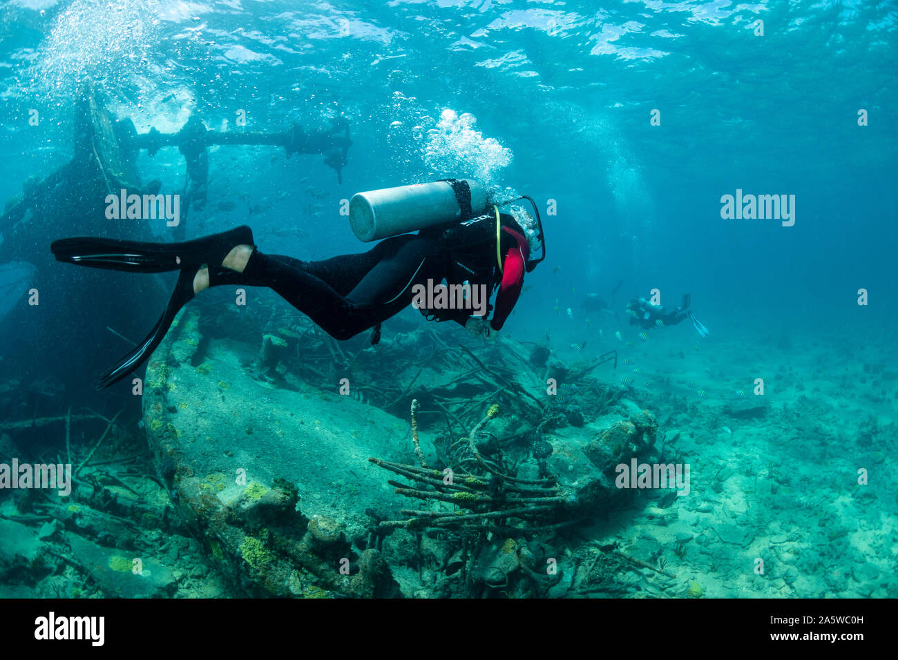 Ein Scuba Diver schwimmt über die Trümmer der Sapona Schiffbruch in Bimini, Bahamas. Stockfoto