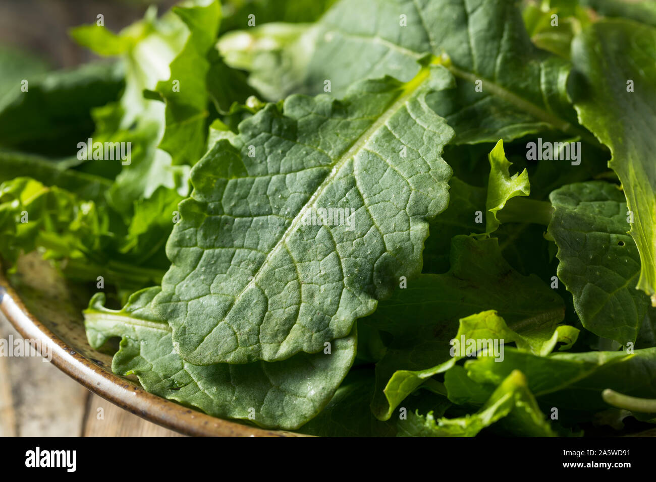 Raw Green Organic Baby Kale Superfood mit Antioxidents Stockfoto