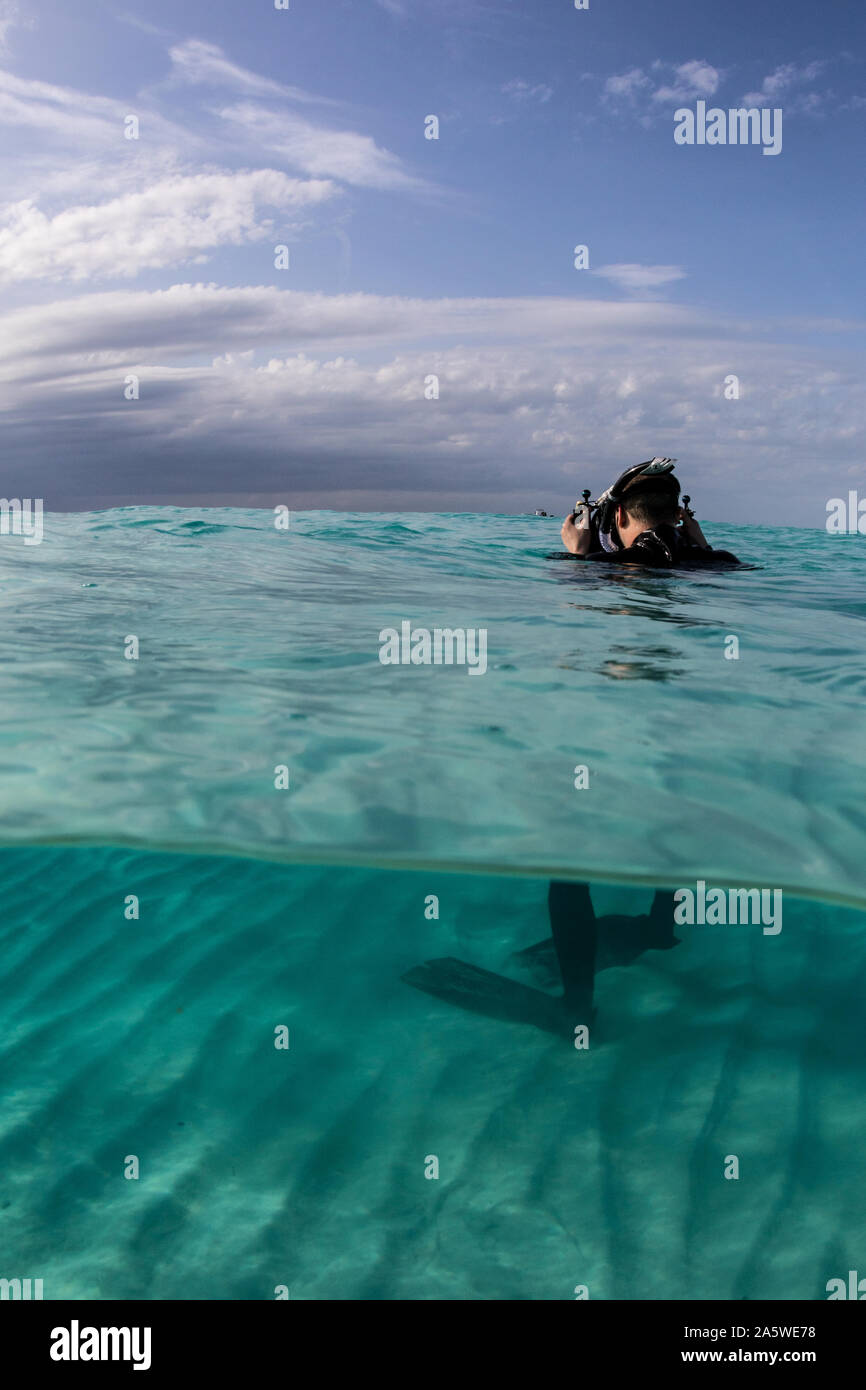 Ein Fotograf schießt über unter Fotos mit einer Unterwasserkamera in Bimini, Bahamas. Stockfoto