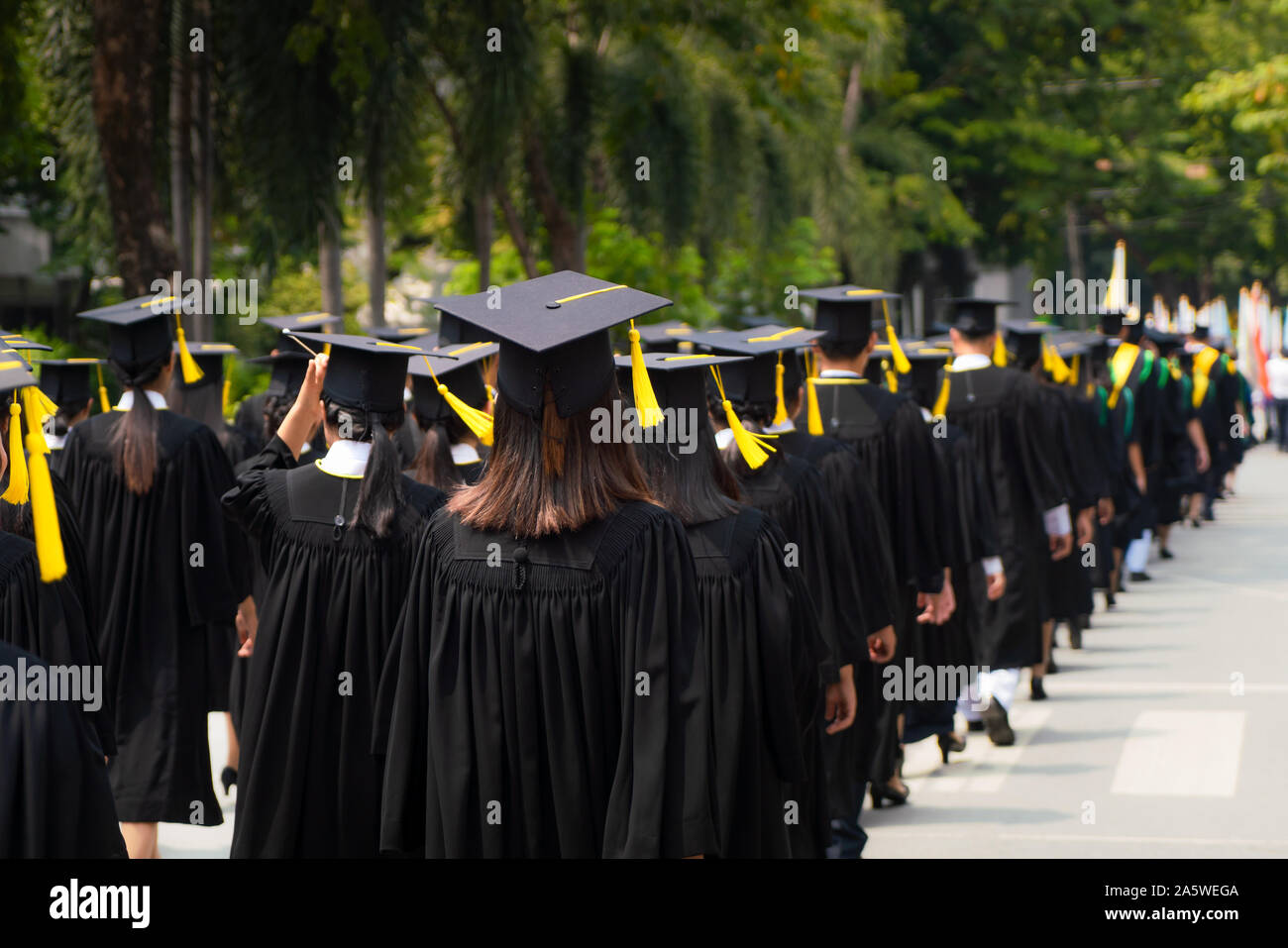 Rückansicht der Gruppe der Hochschulabsolventen in schwarzen Roben für Grad in der Universität Abschlussfeier. Konzept Bildung Gratulation, Stu Stockfoto