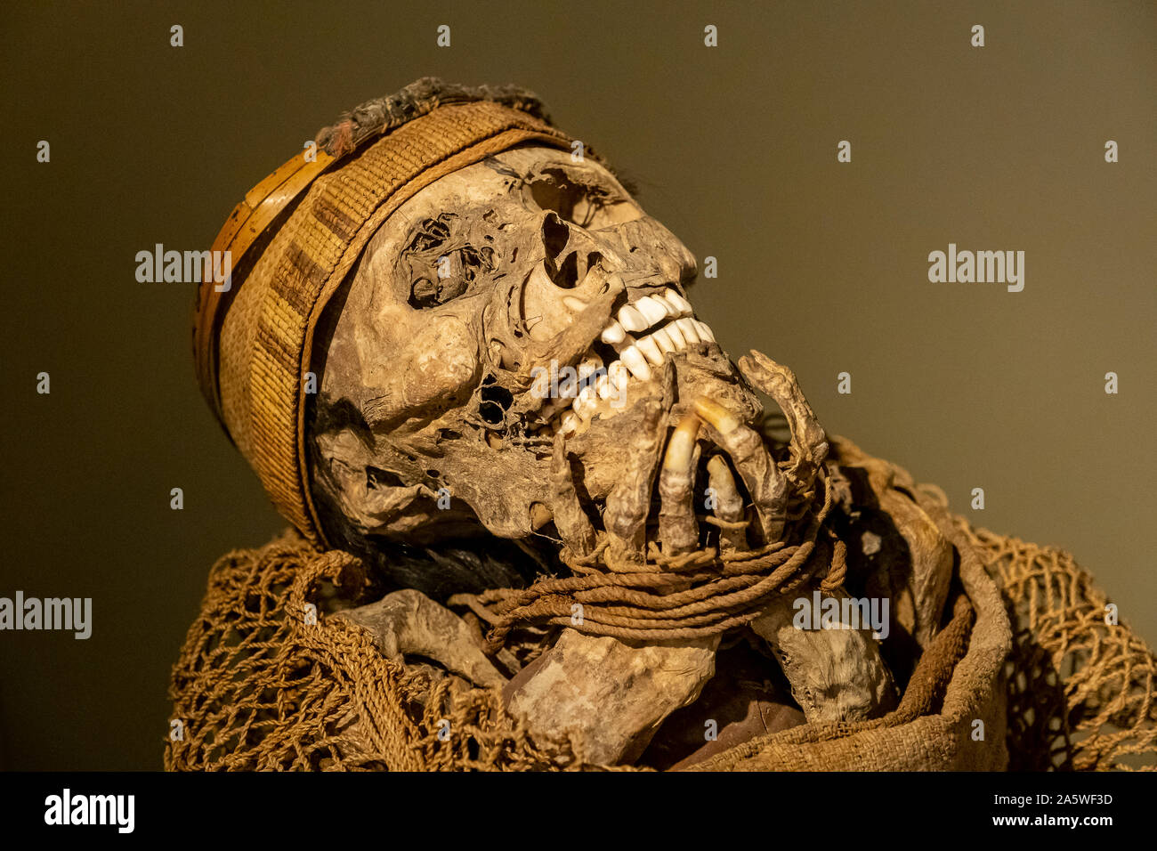 Muisca Mumie, in Gold Museum, das Museo del Oro, Bogota, Kolumbien, Südamerika Stockfoto
