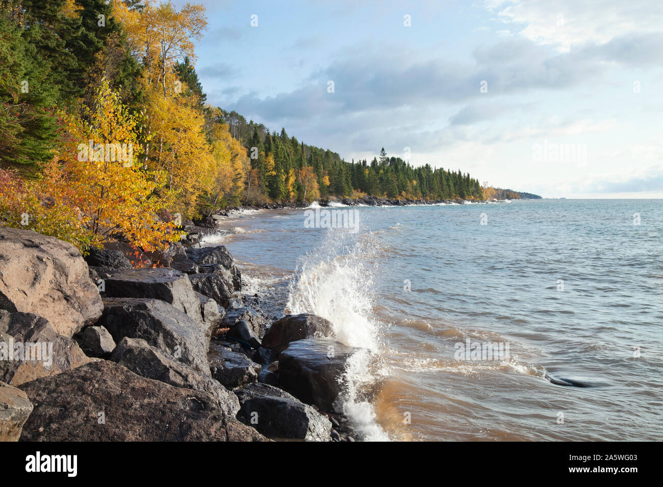 Bunte Bäume und Pinien entlang der Küste des Lake Superior im Herbst Stockfoto