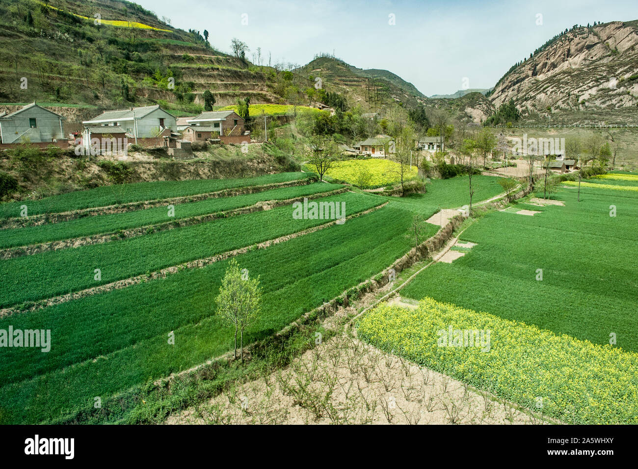 Blick auf die moderne landwirtschaftliche Fläche in Xinjiang, China. Stockfoto