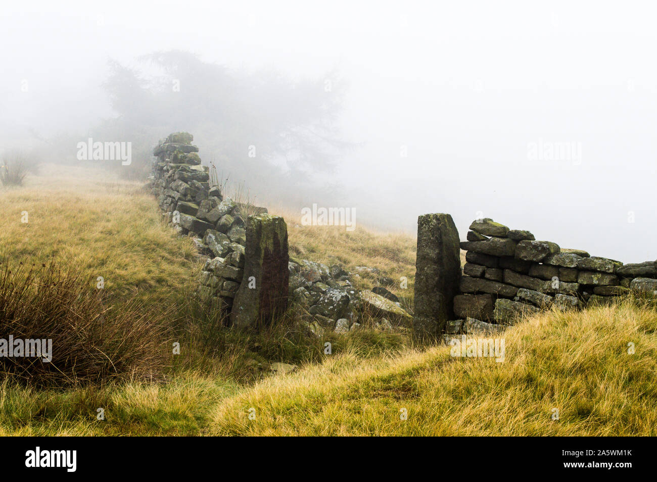 Herbst Nebel auf Ilkley Moor. Yorkshire Stockfoto