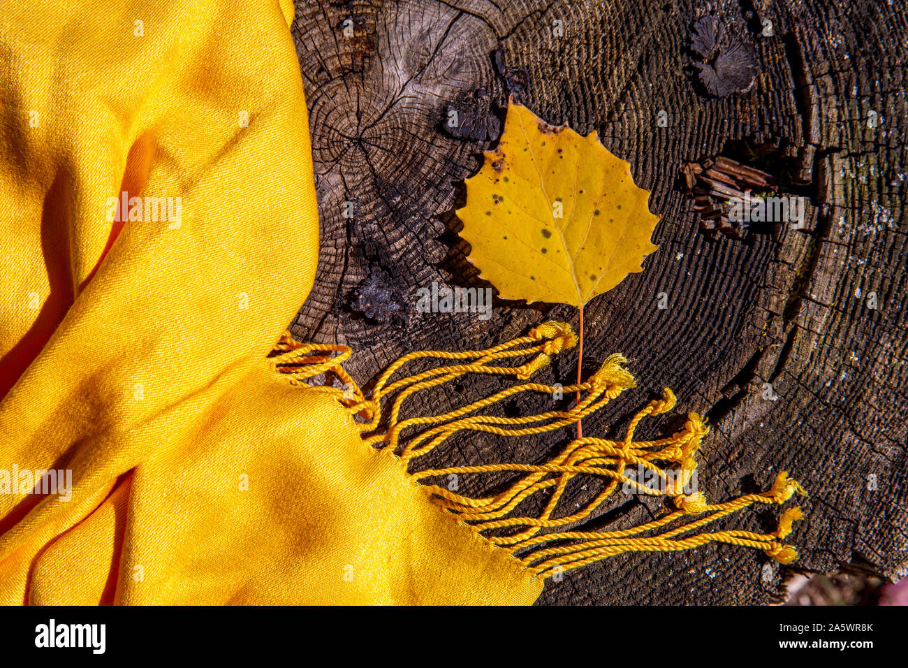 Gelben Schal auf einem Holztisch mit einem gelben Blatt Stockfoto