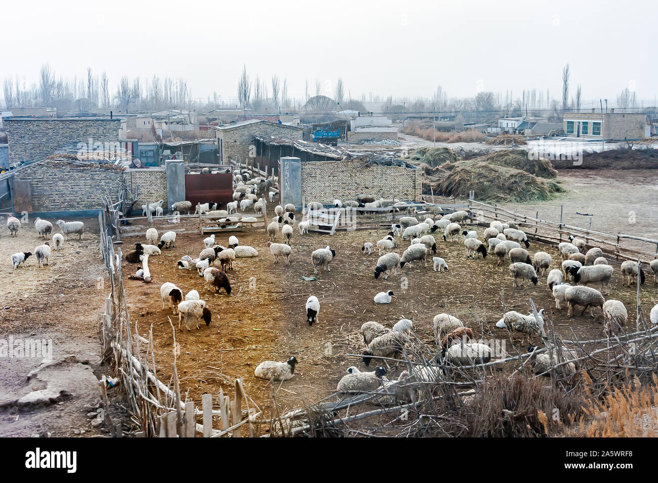 Landschaft und das Leben auf der Seidenstrasse von Zügen, Wulumuxi-Khaskar, China. Stockfoto