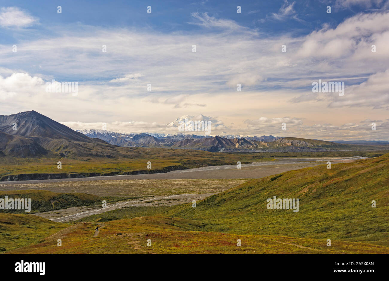Denali Peaking aus den Wolken über der Tundra im Denali Nationalpark in Alaska Stockfoto