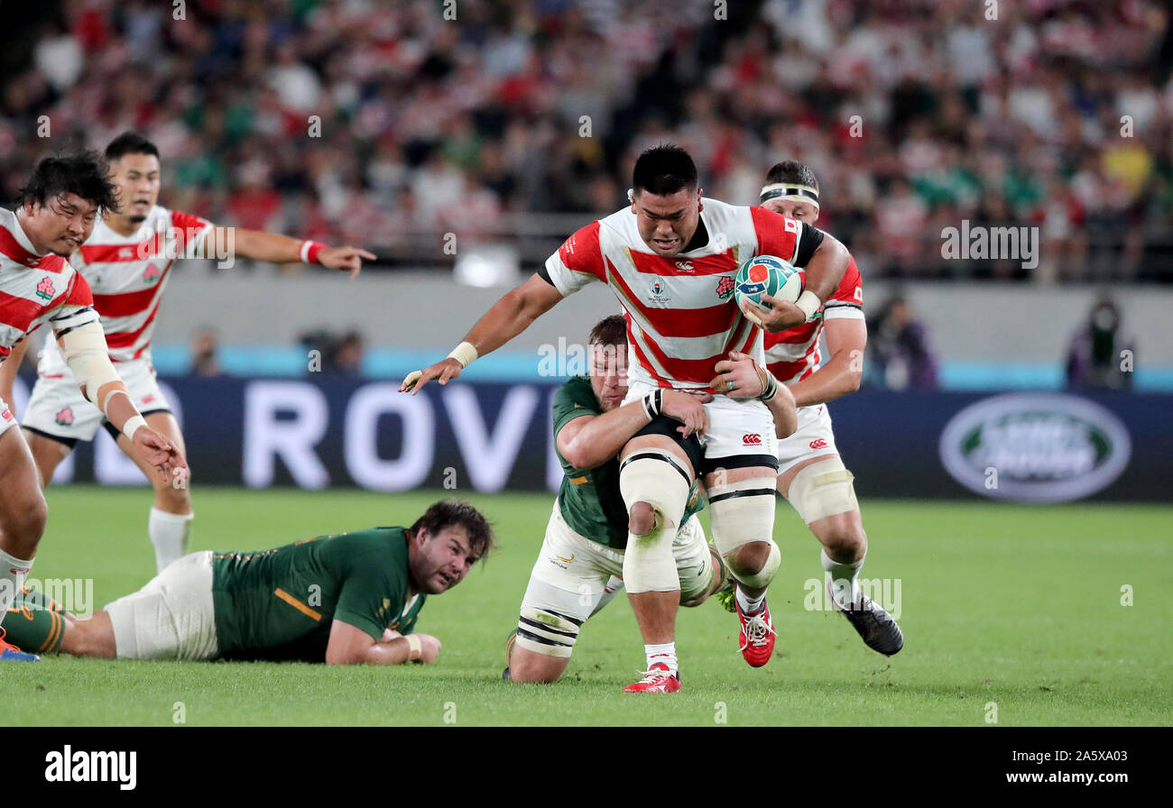 NOT FOR SALE Stockfoto