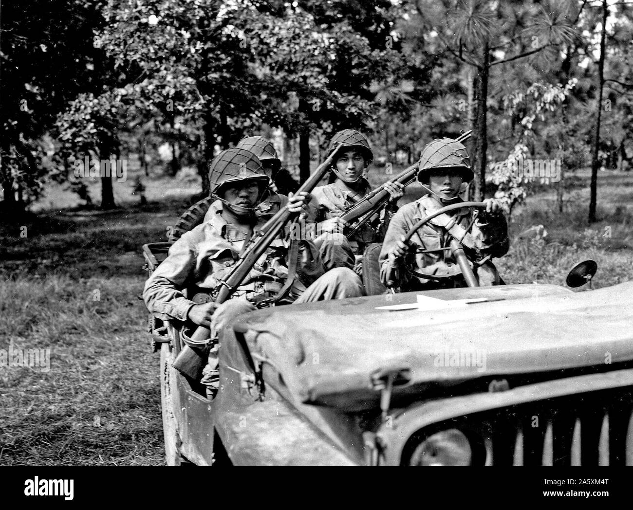 St., Frankreich sterben. Ein Squad Leader sucht nach Deutschen Bewegungen im Tal 200 Yards entfernt. Schnee, Regen und Schlamm Leben miserabel für diese japanisch-amerikanische Front Truppen. Firma "F", 2.BATAILLON, 442Nd Regiment (Combat Team), 13. November 1944 Stockfoto